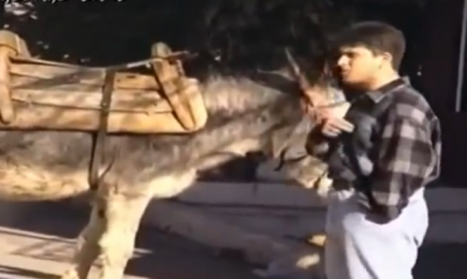 katapliktiki-farsa-gaidaros-milaei-trelainei-xorio-video-670×400