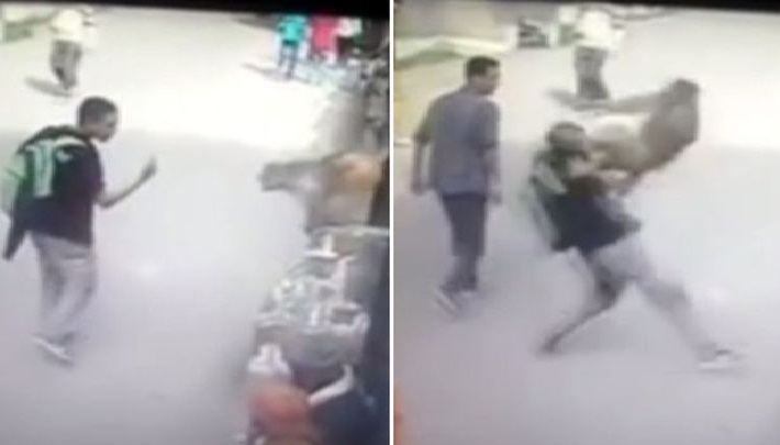 teaser-boy-gets-attacked-by-monkey