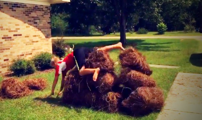 best-fails