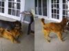 ipiccy_image-5-2-900×473